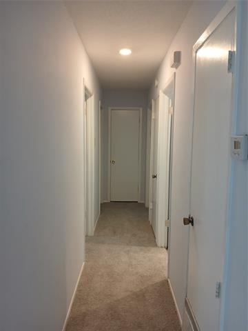 12109 Bishop Drive - Photo 19