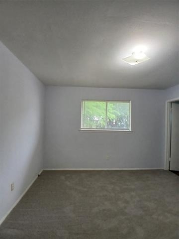 12109 Bishop Drive - Photo 34