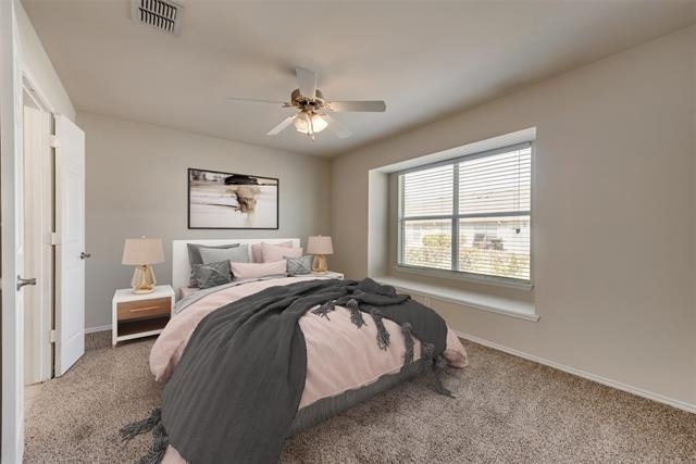 803 Hibiscus Trail - Photo 5
