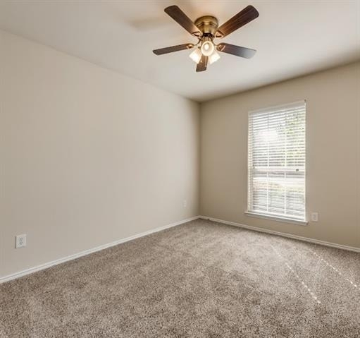 803 Hibiscus Trail - Photo 7