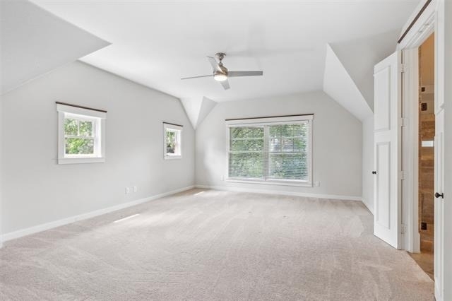 3444 Rankin Street - Photo 19