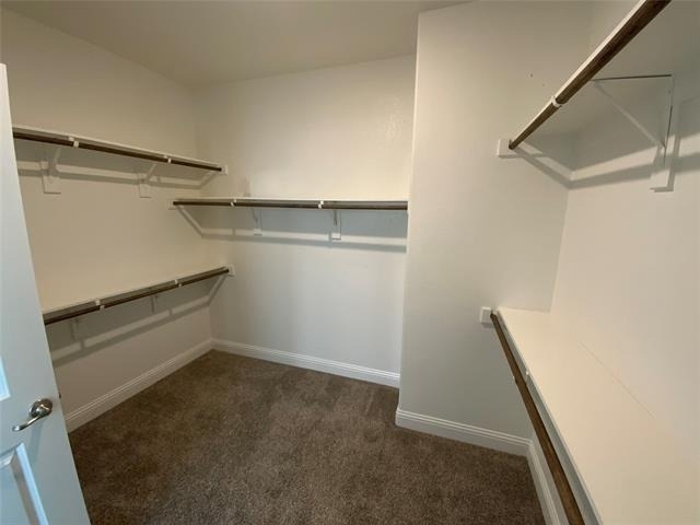 11217 Cobalt Drive - Photo 22