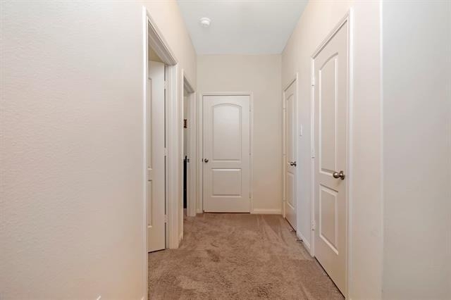 6320 White Jade Drive - Photo 10