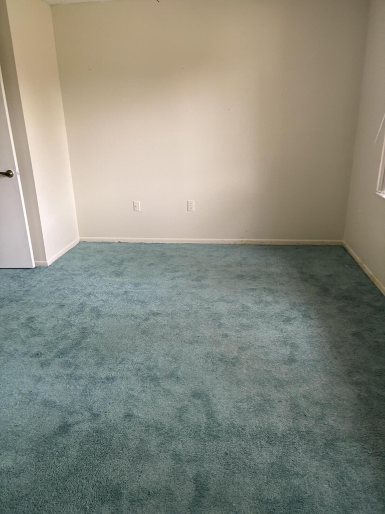 3356 Via Mancebo Street - Photo 15
