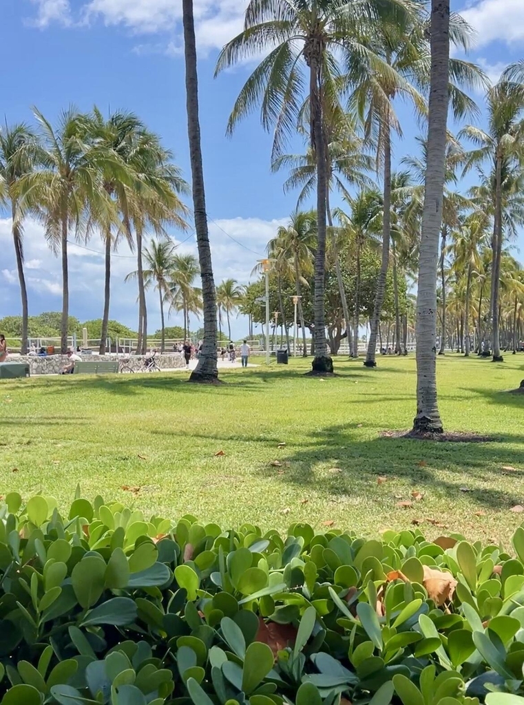 901 Collins Avenue - Photo 19