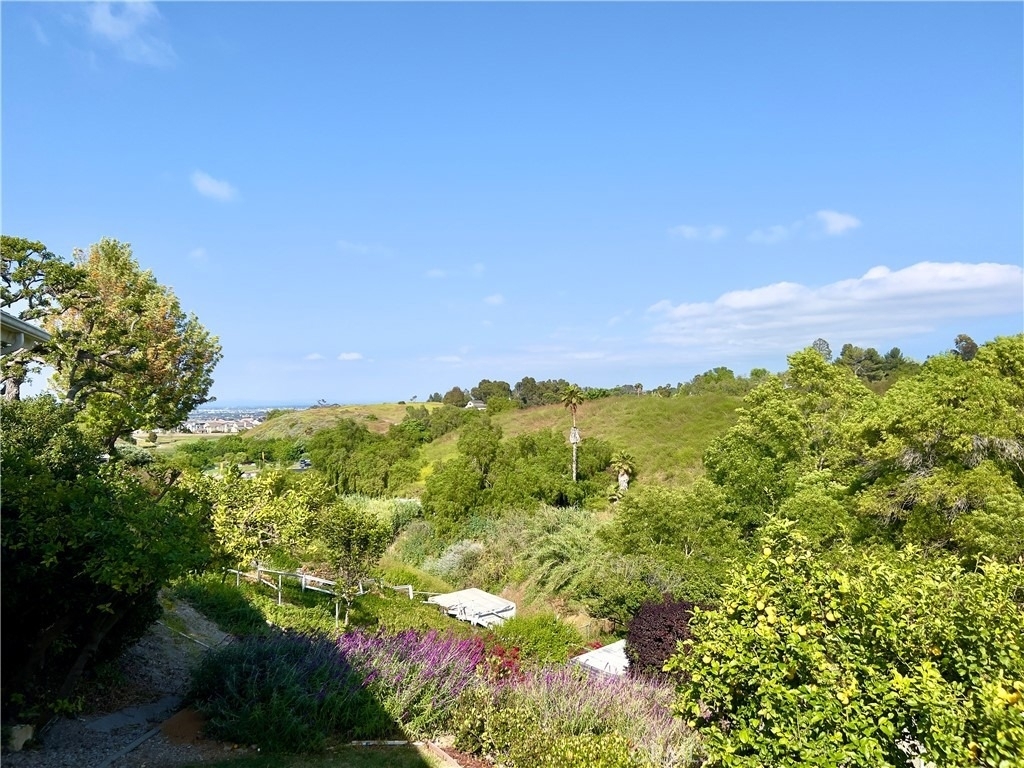 24 Pony Lane - Photo 19