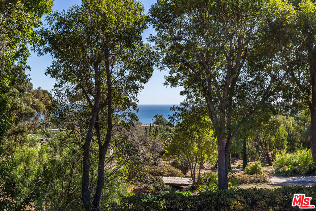 27349 1/2 Pacific Coast Highway - Photo 29