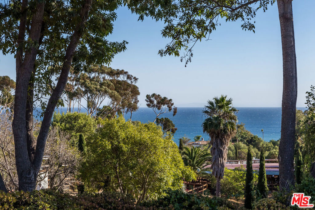 27349 1/2 Pacific Coast Highway - Photo 39
