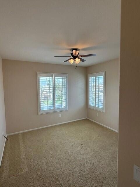 83446 Lone Star Road - Photo 24