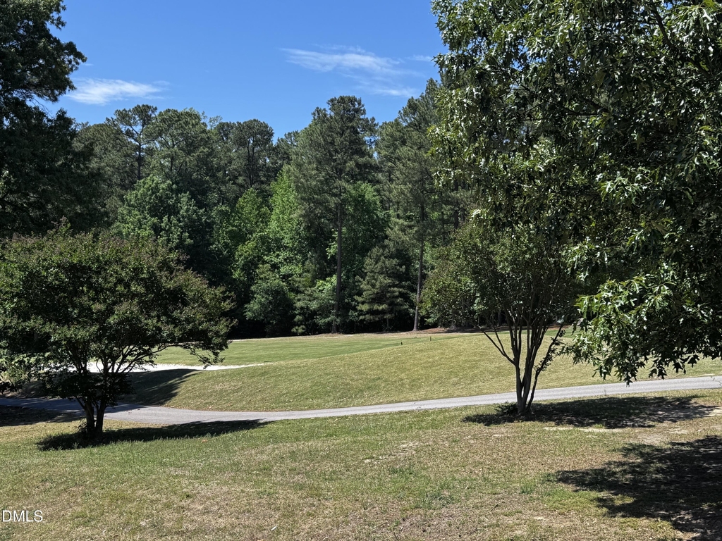 2212 Persimmon Ridge Drive - Photo 13