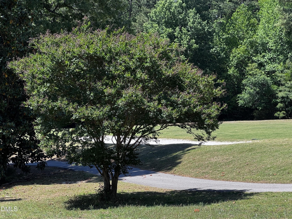2212 Persimmon Ridge Drive - Photo 3