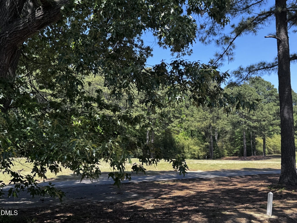 2212 Persimmon Ridge Drive - Photo 14