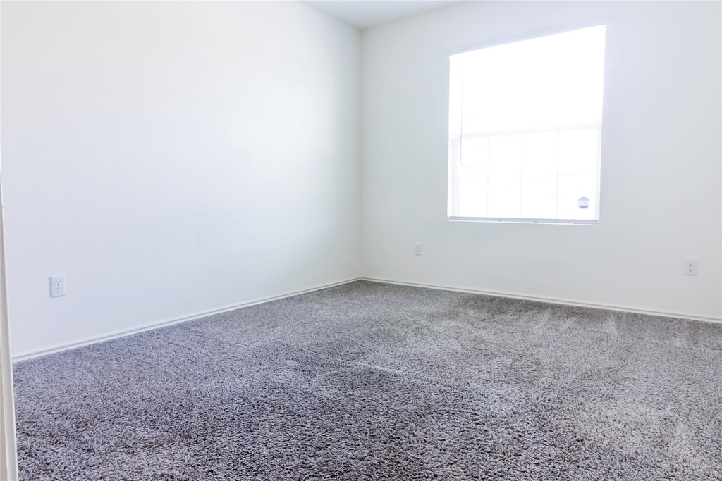 1209 Nokota Bnd - Photo 5