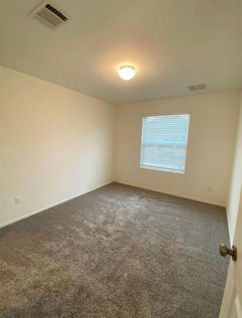 1209 Nokota Bnd - Photo 19