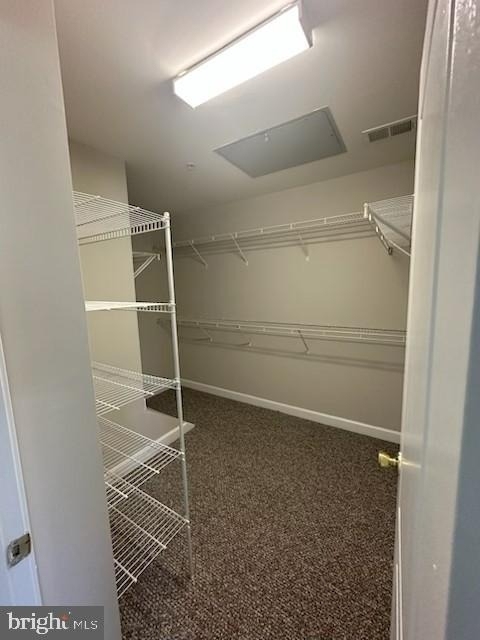 3406 Carriage Walk Court - Photo 7