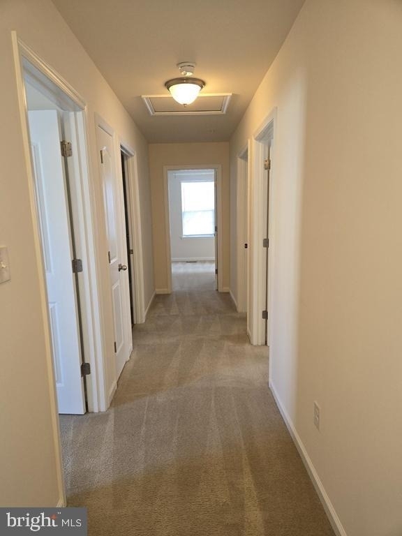 303 Ellis Court - Photo 7
