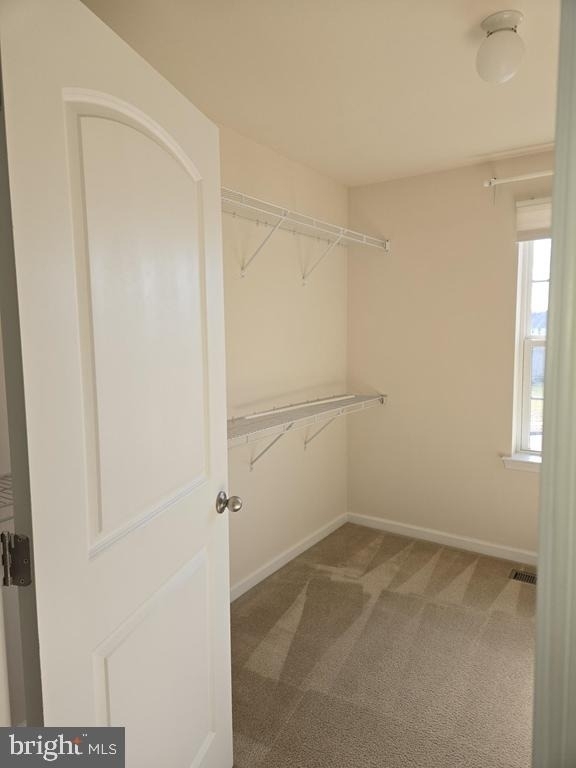 303 Ellis Court - Photo 10