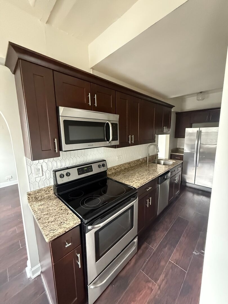 1211 N Lasalle Street - Photo 1