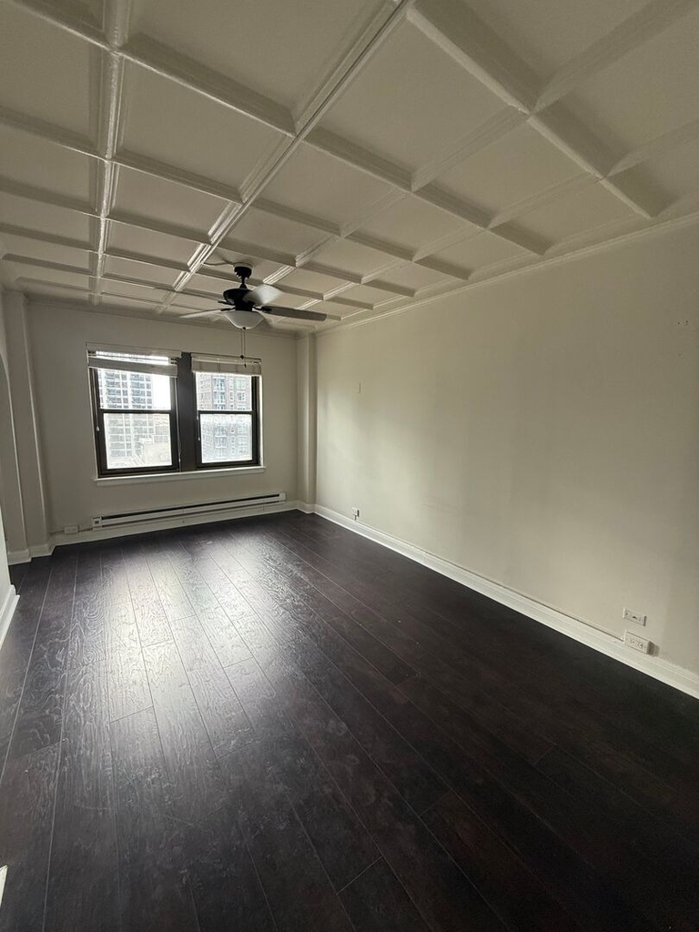 1211 N Lasalle Street - Photo 3