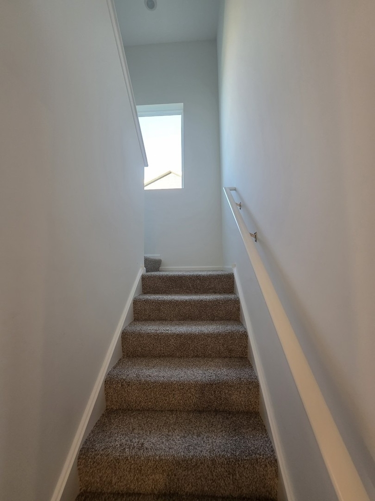 6802 Daly Lane - Photo 8