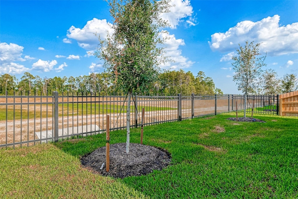 3106 Rising Fir Lane - Photo 28