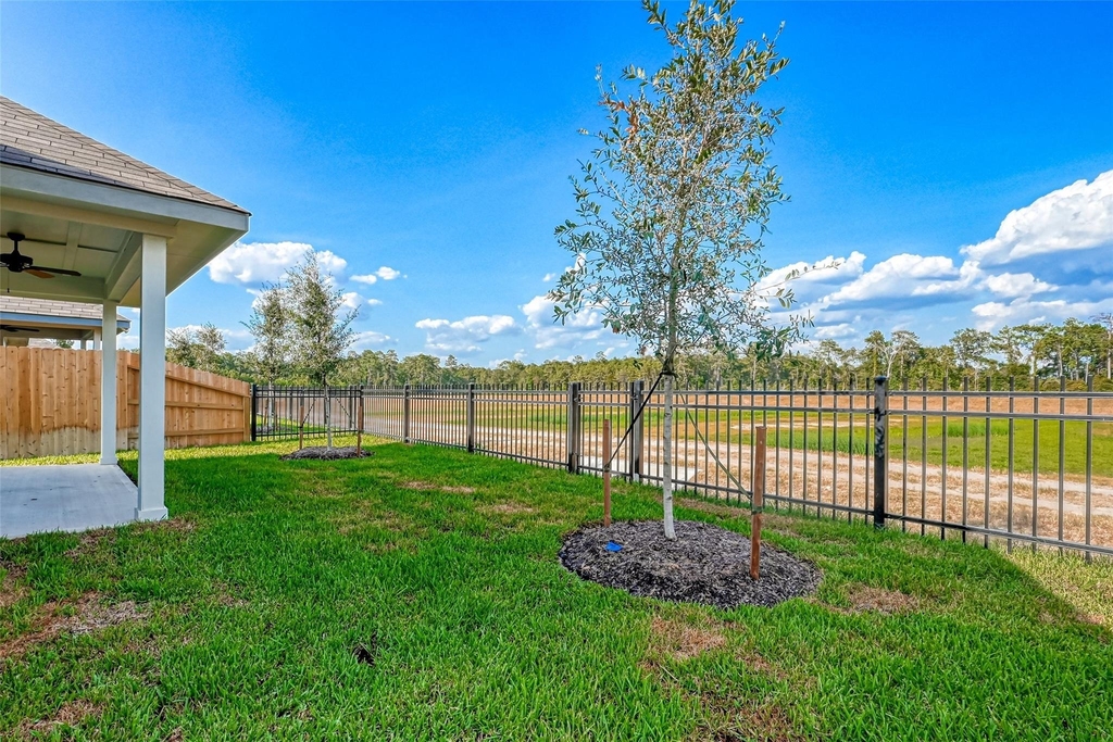 3106 Rising Fir Lane - Photo 31