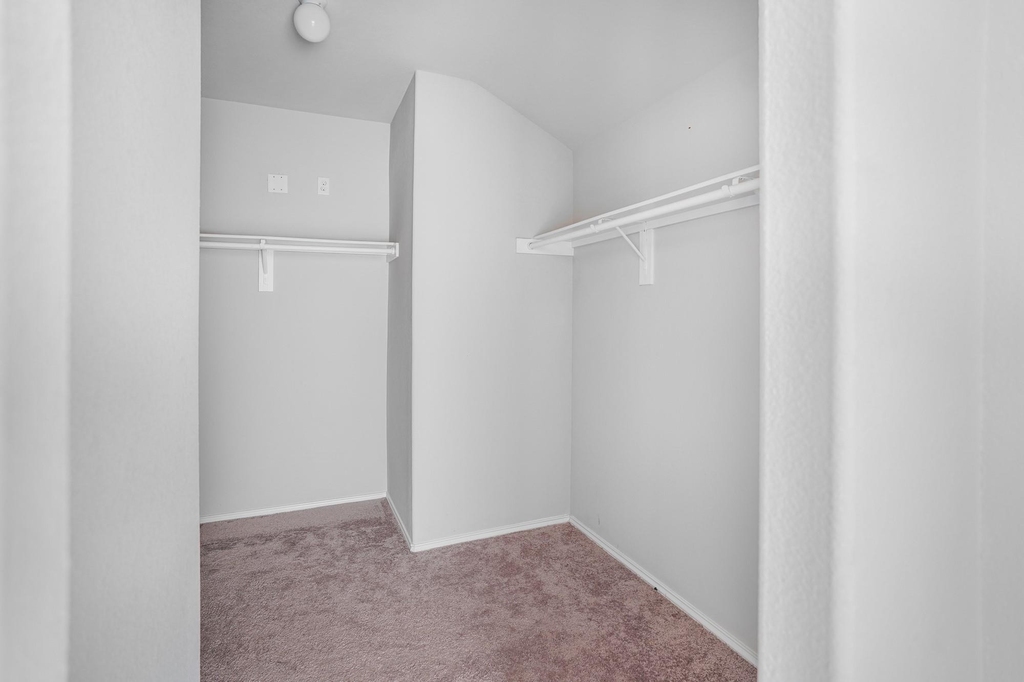 9805 Cold Creek - Photo 12