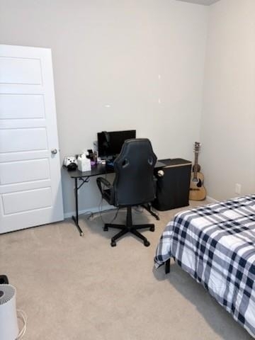 341 Emerald Thicket Lane - Photo 8