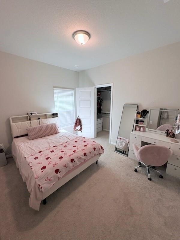 341 Emerald Thicket Lane - Photo 10