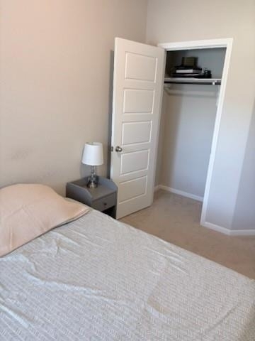 341 Emerald Thicket Lane - Photo 9