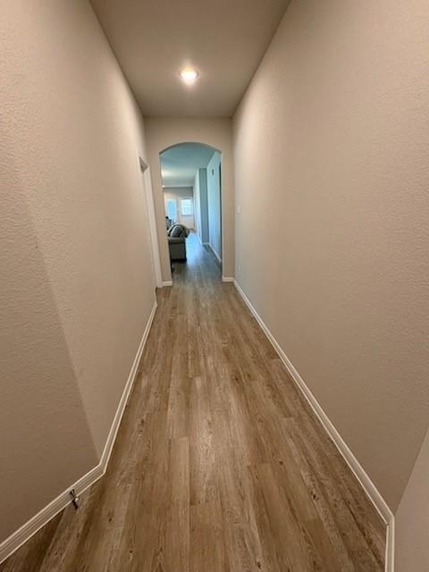 341 Emerald Thicket Lane - Photo 12