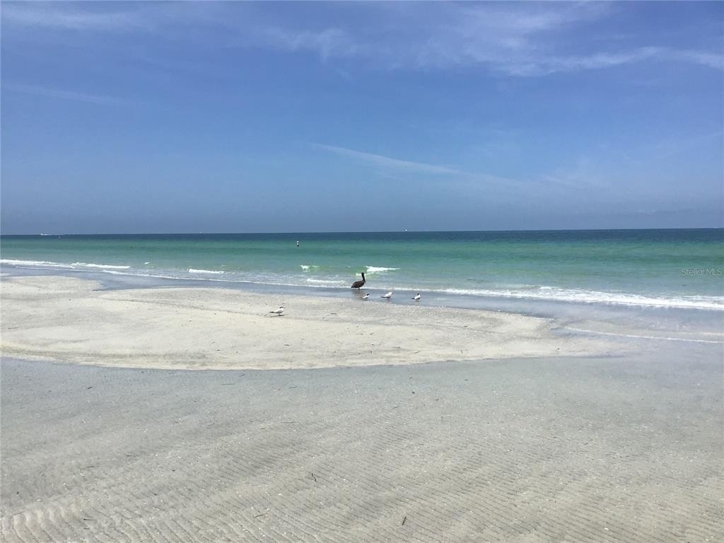 1430 Gulf Boulevard - Photo 32