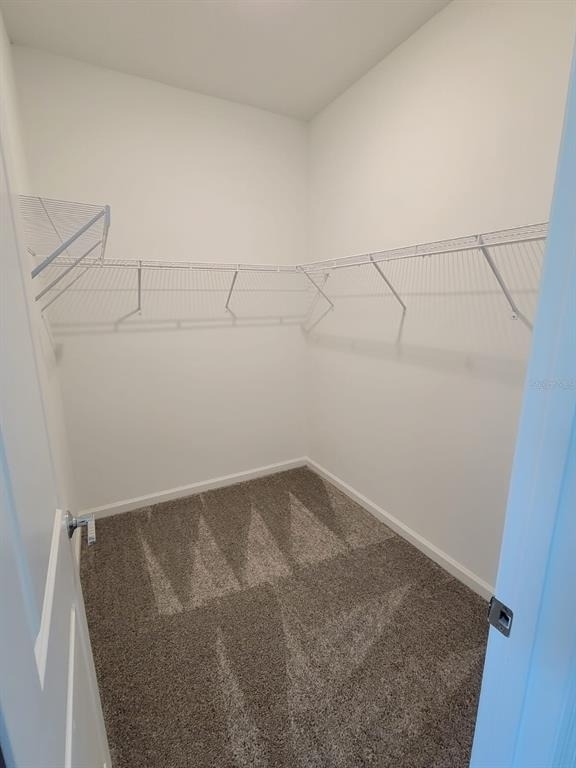 827 Hitch Loop - Photo 12