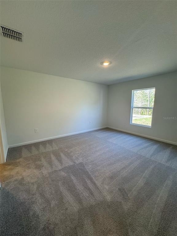4820 Yellow Elder Way - Photo 9