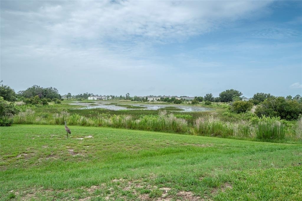 212 Primrose Drive - Photo 21