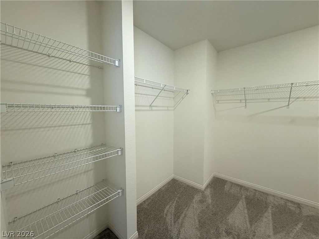 3045 Foxtail Hollow Avenue - Photo 31