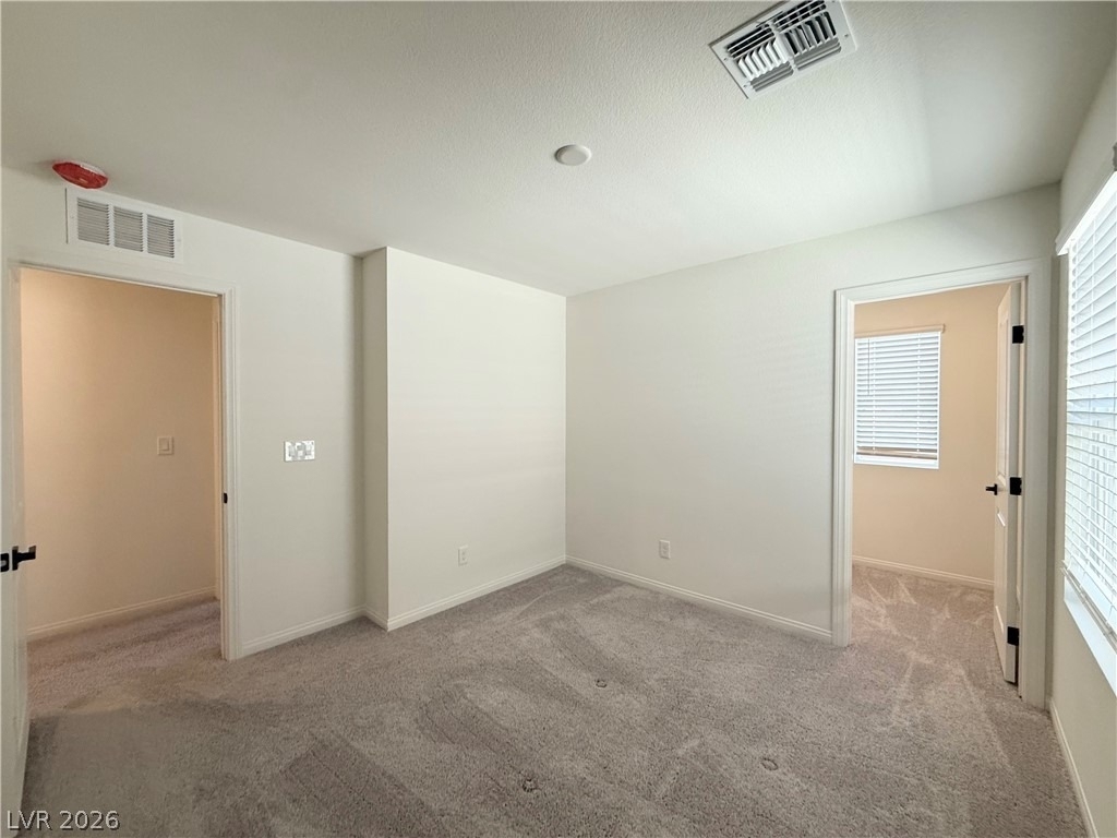 3045 Foxtail Hollow Avenue - Photo 21
