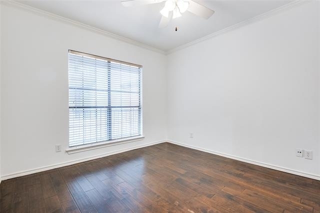 4510 Druid Lane - Photo 8