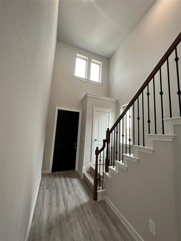 2907 Doggett Drive - Photo 3