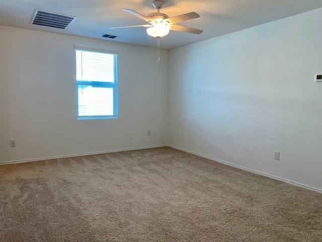 3232 Peyton Lila Road - Photo 9