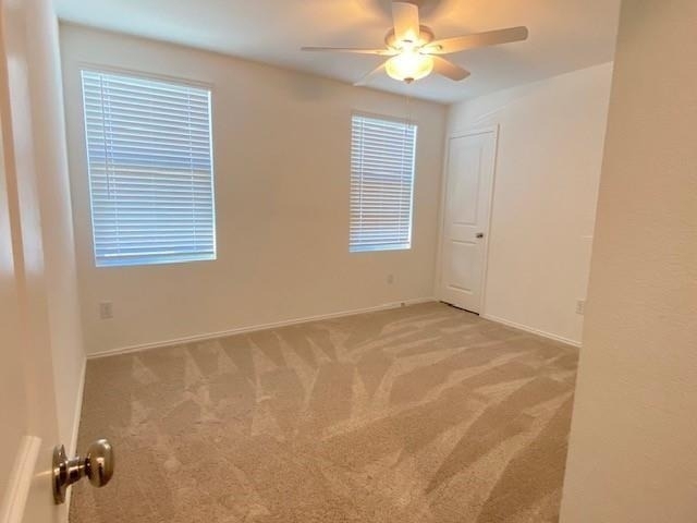 3232 Peyton Lila Road - Photo 15