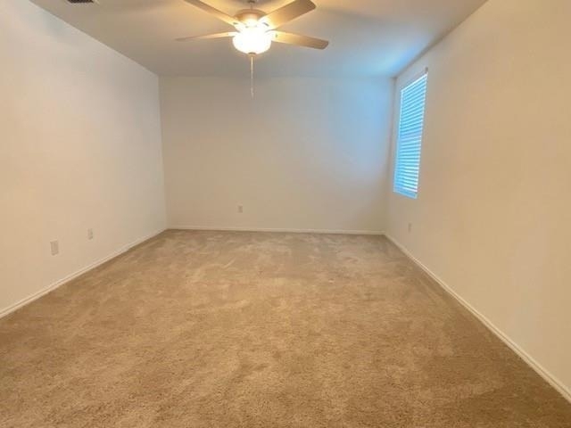 3232 Peyton Lila Road - Photo 12