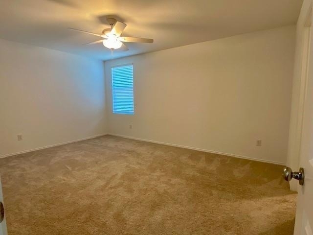 3232 Peyton Lila Road - Photo 10