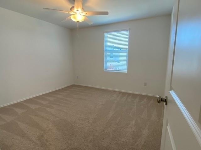 3232 Peyton Lila Road - Photo 13