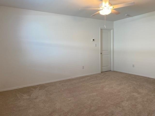 3232 Peyton Lila Road - Photo 8