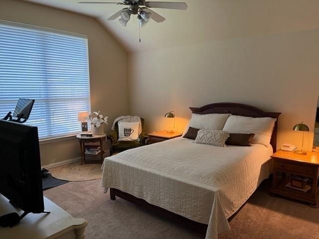 4640 Daisy Leaf Drive - Photo 9