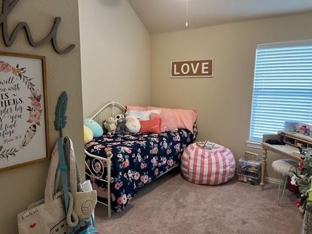 4640 Daisy Leaf Drive - Photo 14