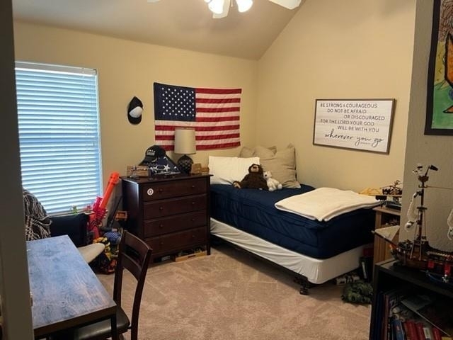 4640 Daisy Leaf Drive - Photo 15