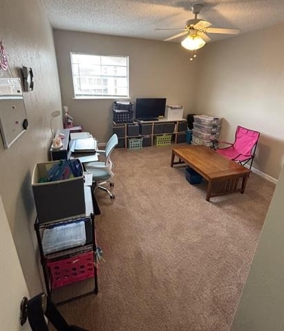 6501 Dunn Drive - Photo 12
