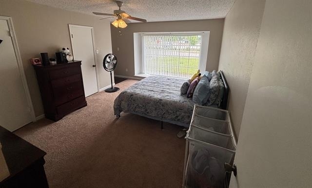 6501 Dunn Drive - Photo 7